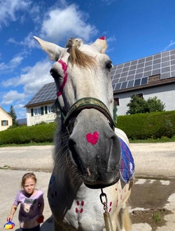 Reiten in Oberschöneberg