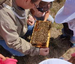 Besuch beim Imker