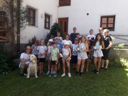 Rund um die Biene