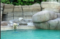 Tierpark Hellabrunn