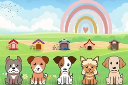 Spaß mit Hunden