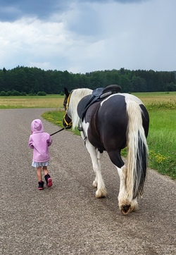 Reiten in Wollishausen