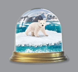 Ein Besuch im Land der Schneekugeln