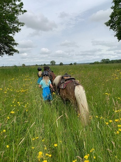 Ponyreiten