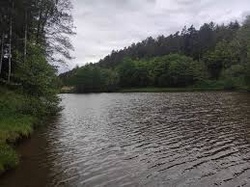 Schnupperfischen in Schornweisach