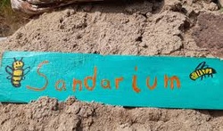 Bauen wir ein Sandarium - die Alternative zum Insektenhotel