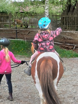 Ponyversteher Workshop