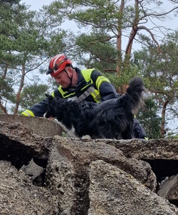 Arbeiten mit Rettungshunden