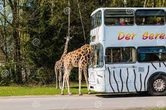 Abenteuer-Ausflug in den Serengeti-Park