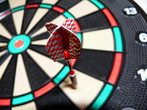 Ferien goes Darts