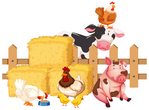 Ein erlebnisreicher Tag auf dem Biohof Klüber