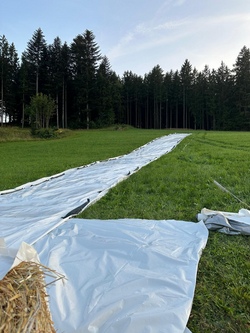 Siloplanen rutschen
