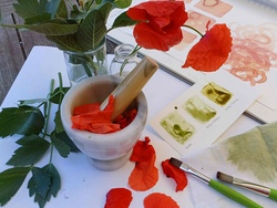 Pflanzenfarbenworkshop – Herstellung von Naturfarben und anschließendes Malen