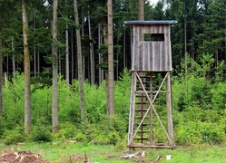 Revierrunde mit dem Jäger im „Hembacher Wald“