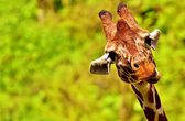 Tierpark Hellabrunn