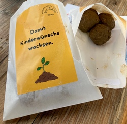 Seedbombs herstellen