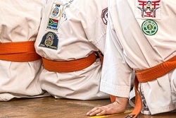 Karate Do