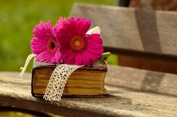 Mach dein Buch