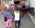 Reiten für Kinder ca. 5-12 Jahre