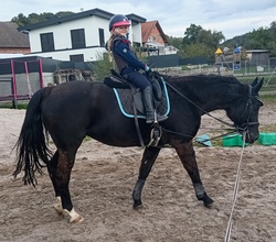 Reiten für Kinder ca. 5-12 Jahre