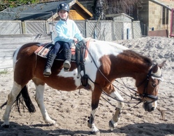 Reiten für Kinder ca. 5-12 Jahre