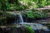 Auf den Spuren des klingenden Wasserfalls (abgesagt)