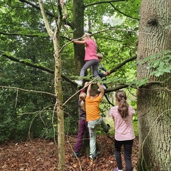 Wildniscamp