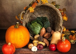 Mit Apfel und Kürbis in den Herbst 1