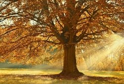 Kinderferienaktion Herbst - Woche 1 Kinderferienaktion Herbst - Woche 1