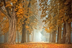 Kinderferienaktion Herbst - Woche 2 Kinderferienaktion Herbst - Woche 2