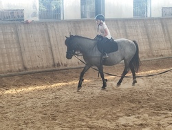 Schnupperreiten auf Hof Gösingen