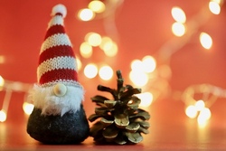 Frühdienst (07:00 - 08:00) - "Spiel und Spaß in den Weihnachtsferien" an der Waldschule Eichelkamp