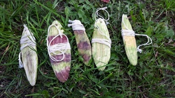 Ferienprogramm mit dem Naturpark-Ranger für Kinder ab 6 Jahren