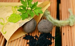 Kressetöpfe und Samenbomben