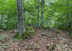 Outdoortag - Abenteuer Wolfsschlucht