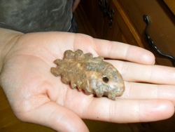 Speckstein schleifen