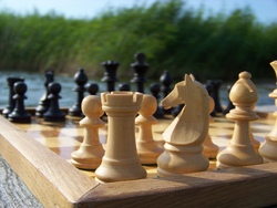 Schach-Schnupperkurs f&uuml;r Anf&auml;nger