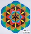 Zirkelkunst - Ziehe Deine Kreise voller Freude (abgesagt)