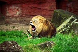 Erlebnis-Zoo Hannover