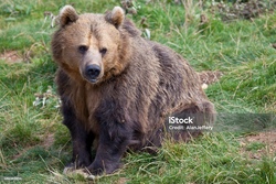 Ausflug in den Tierpark nach Bad Mergentheim