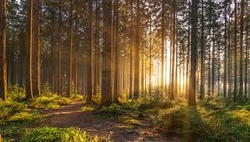 Mit dem Jäger den Naturpark entdecken
