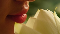 Lipgloss & wipped Bodybutter Workshop