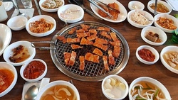 Korean BBQ Chicken mit Reis mit Ara und Co