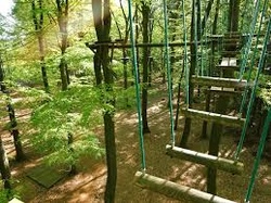 Kletterpark Sachsenwald