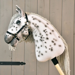 Hobbyhorse Tanzaufführung im Don Bosco-Haus