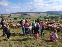 Fahrradtour zum Klostergut Wiebrechtshausen