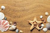 Ein Tag am Meer