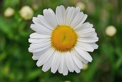 Ein Tag für Naturentdecker