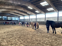 Reitspaß im Sommer