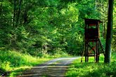 Abenteuer im Jagdrevier